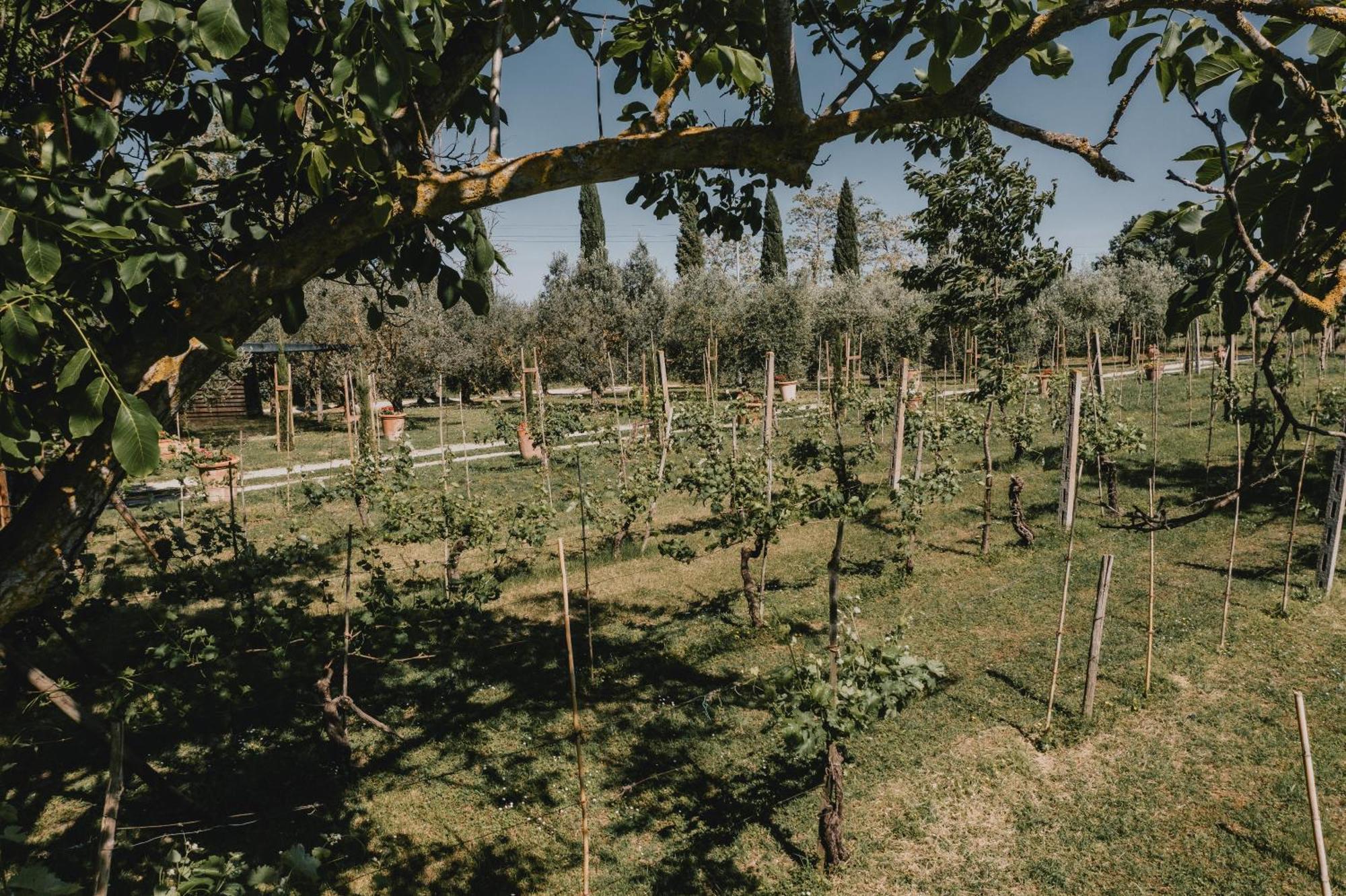 Podere Biagio Valiano Kültér fotó