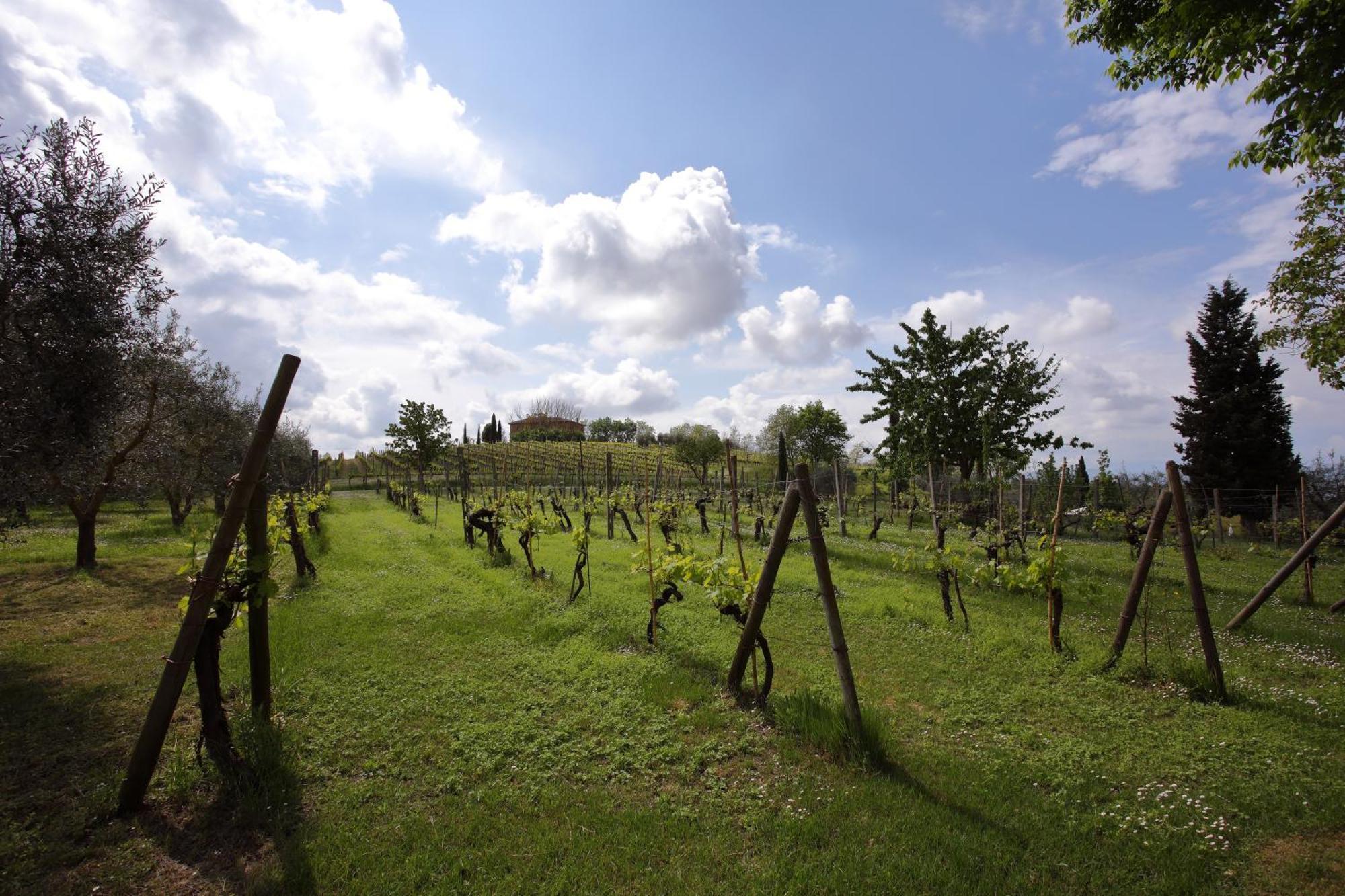 Podere Biagio Valiano Kültér fotó